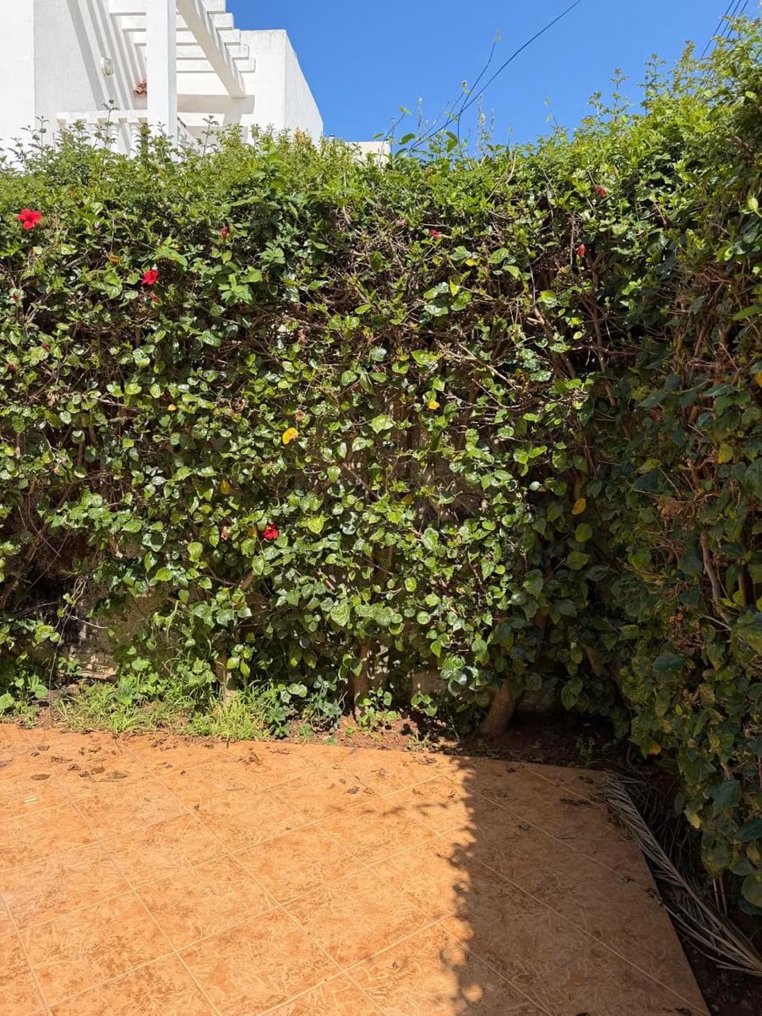 Vente terrain à Riyad. Surface de 338 m²