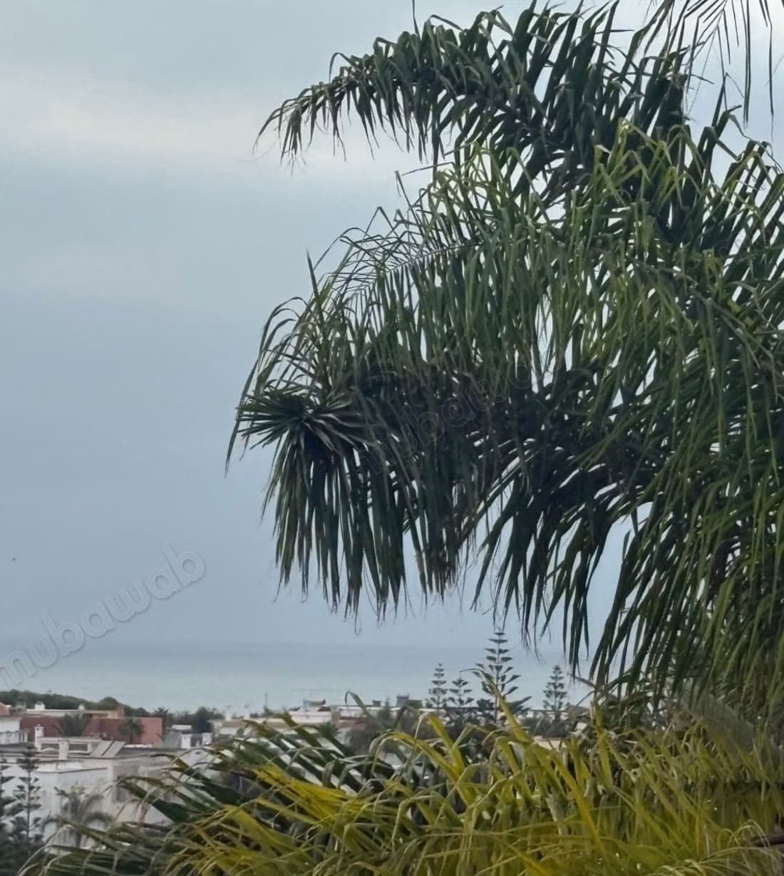 À vendre villa en gros oeuvre vu mer dar bouazza