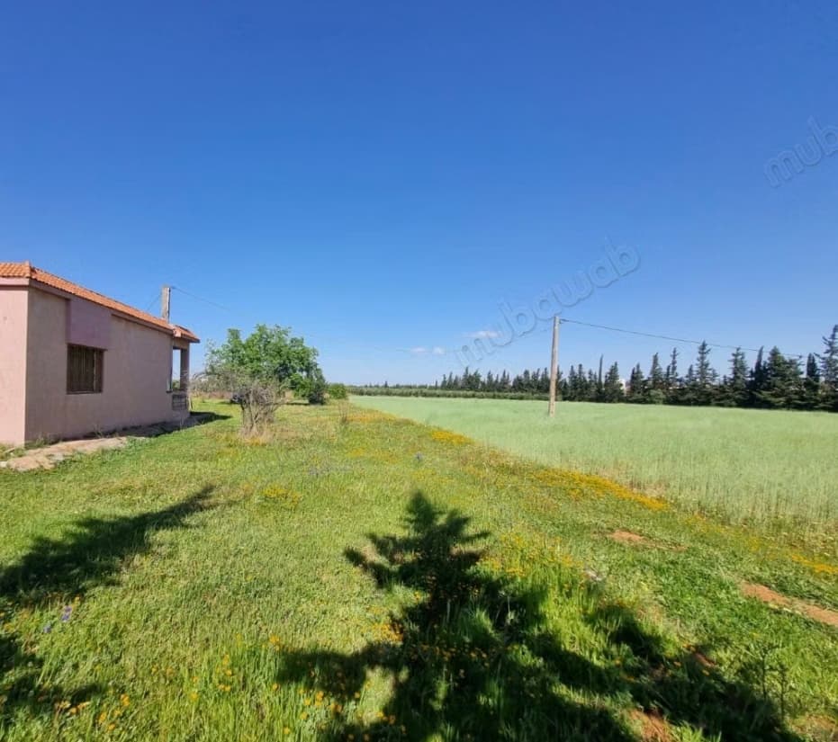 Terrain a vendre