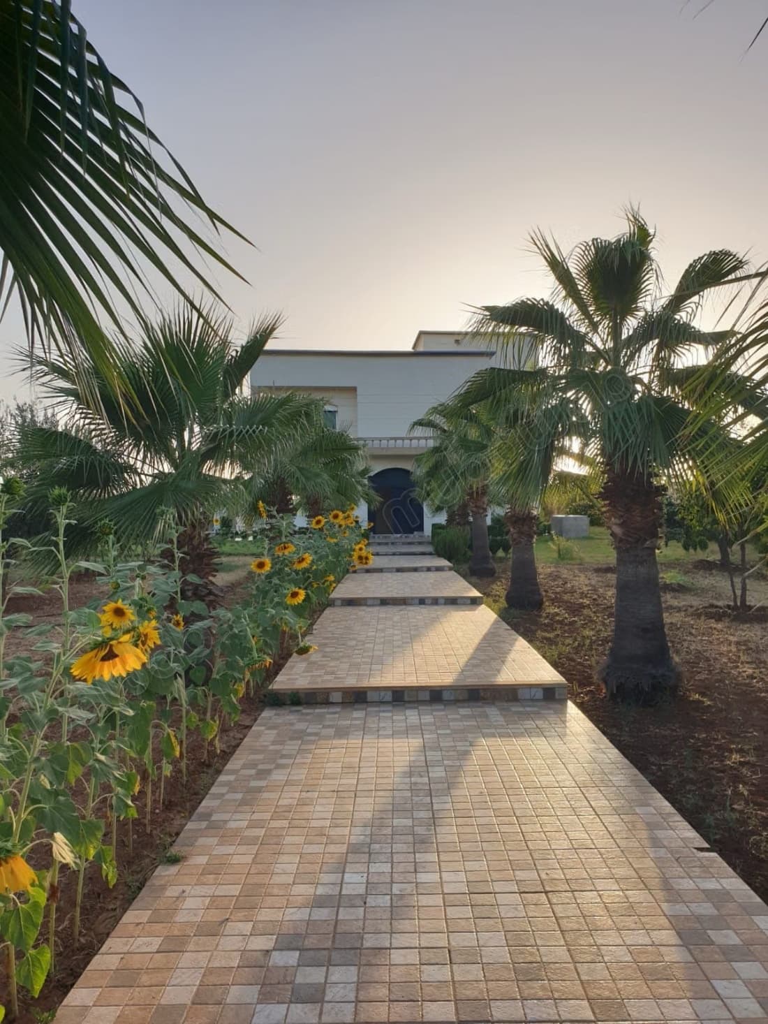 Villa de standing avec piscine sur terrain de 2 ha