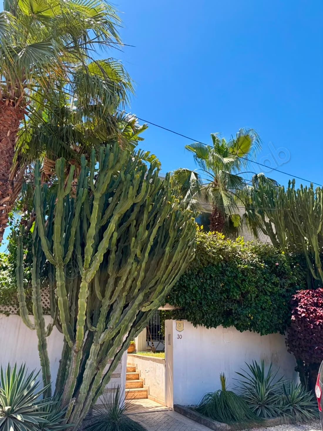 Vente terrain à Racine. Superficie 567 m²