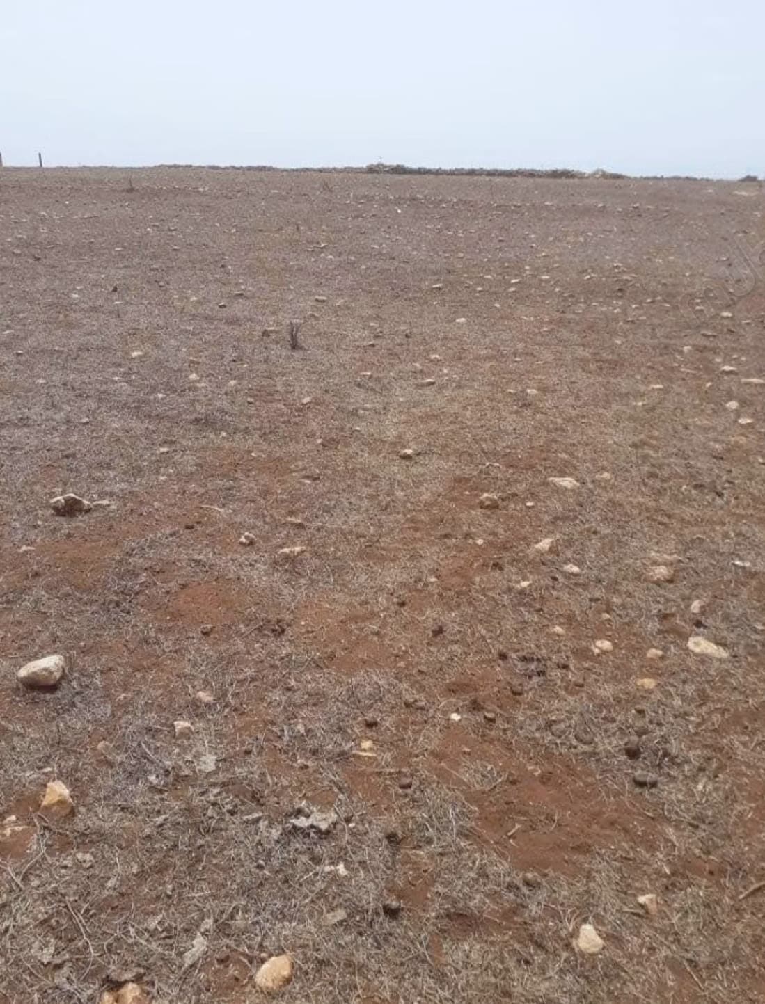Terrain à vendre à Dar Bouazza. Superficie 140,000 m²