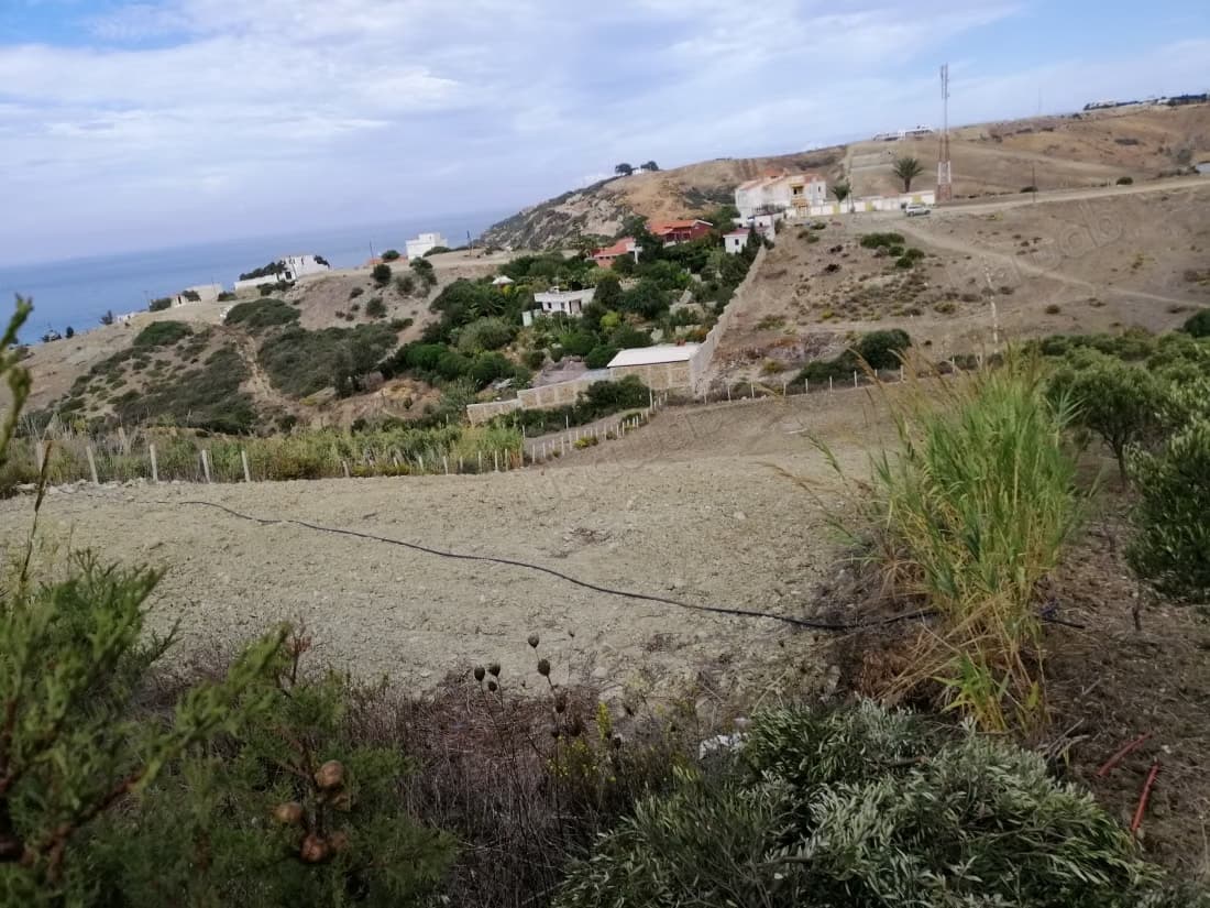 Terrain Titré Playa blanca
