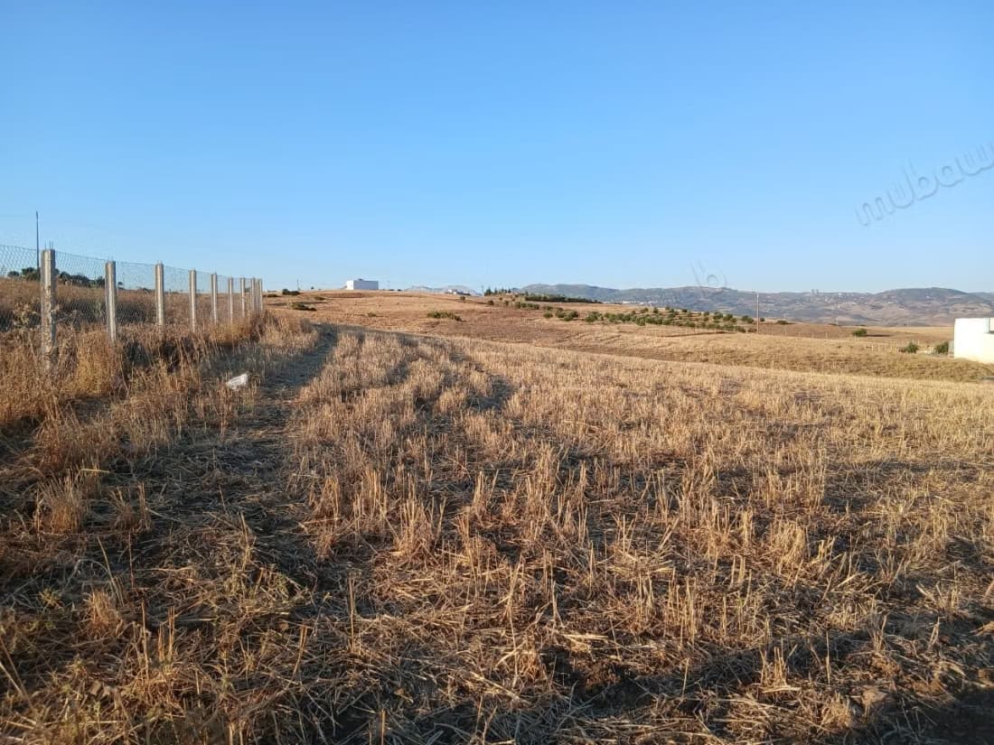 Terrain à 10 minutes de Tetouan. 1837 m²