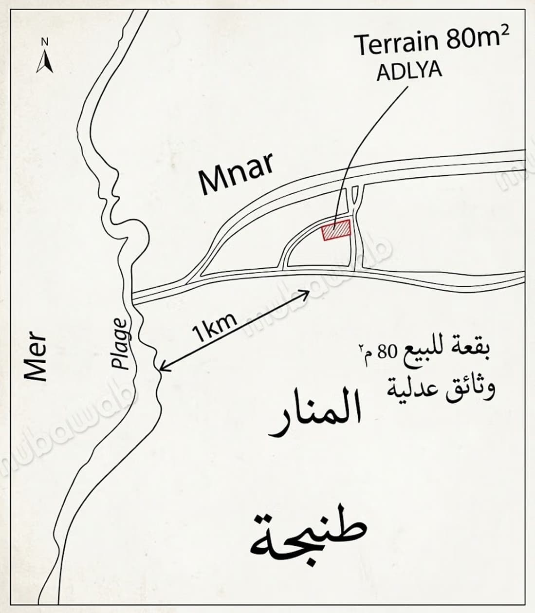 Terrain Mnar