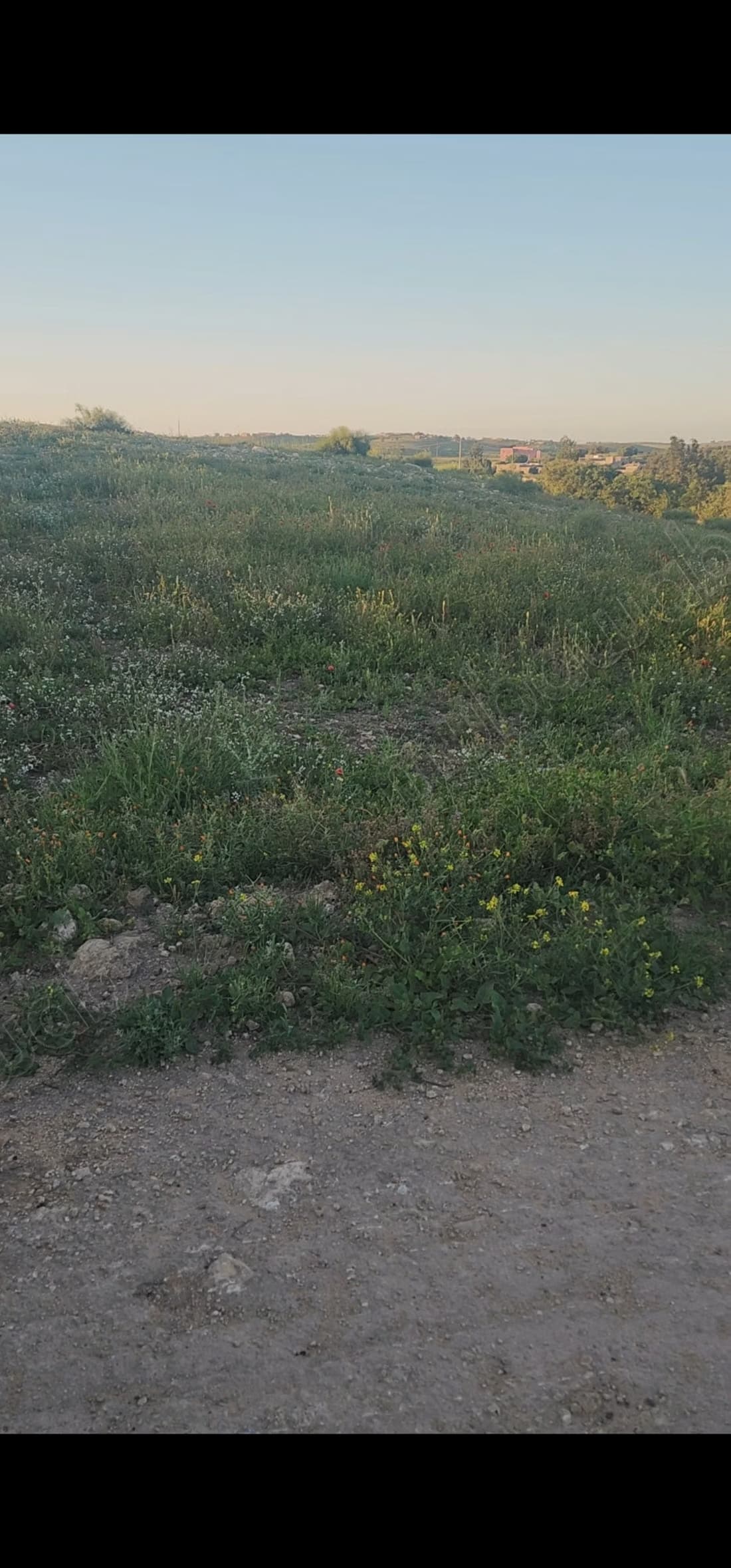 Vente terrain à Safi. Superficie 2100 m²