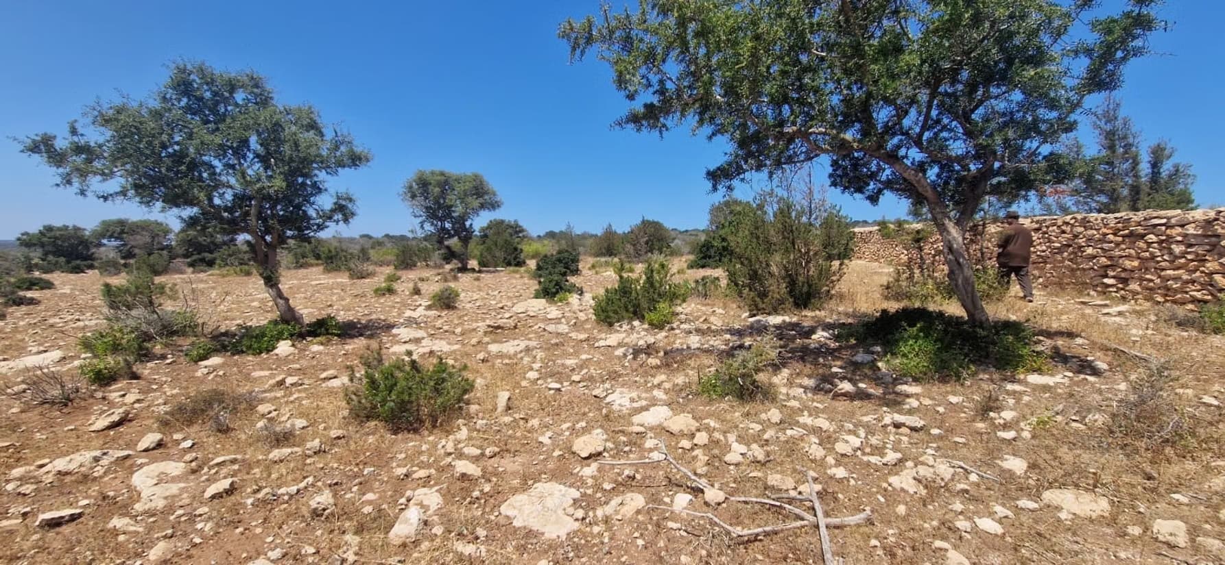 Terrain 9 983 m² à vendre – Vue forêt avec autorisation de v...