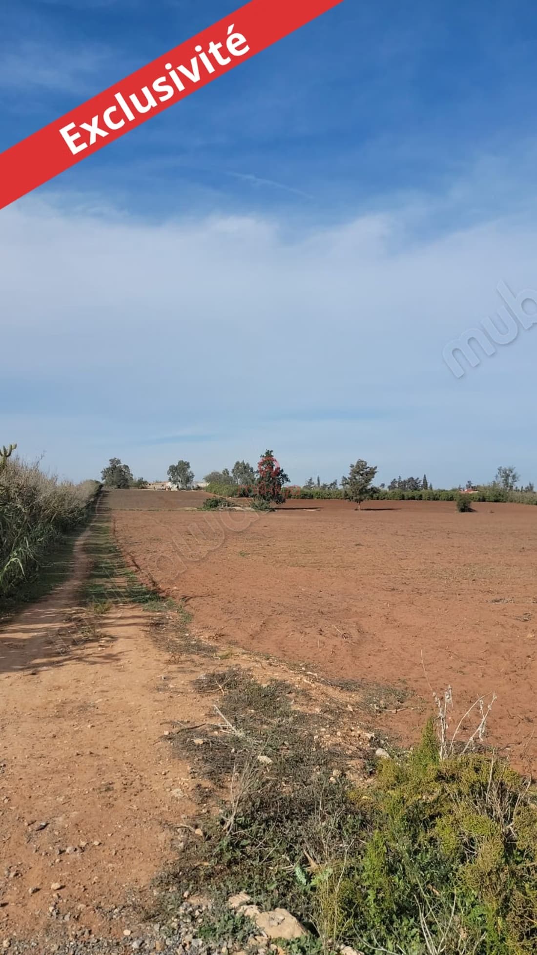 Vente Terrain nu à Skhirat