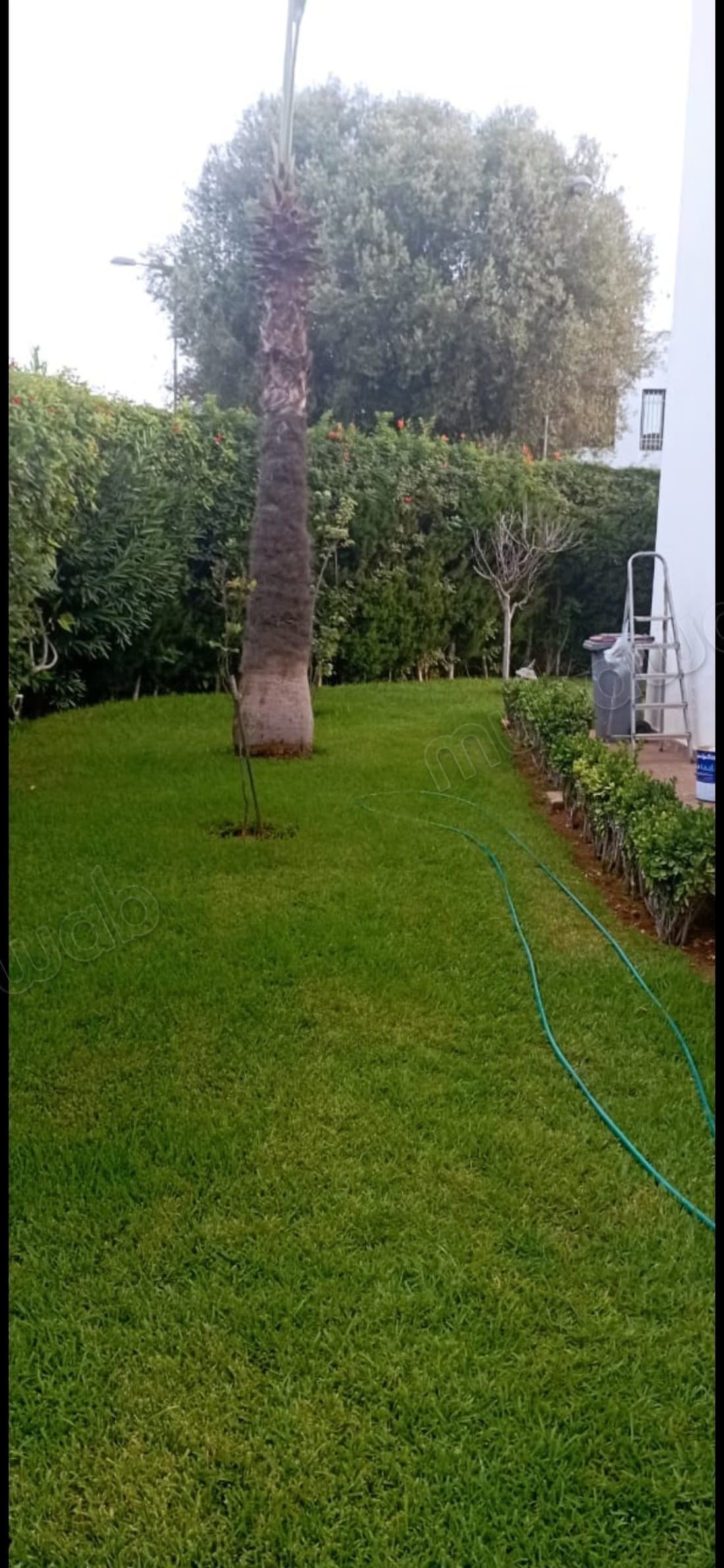Villa 600m Hay Riad