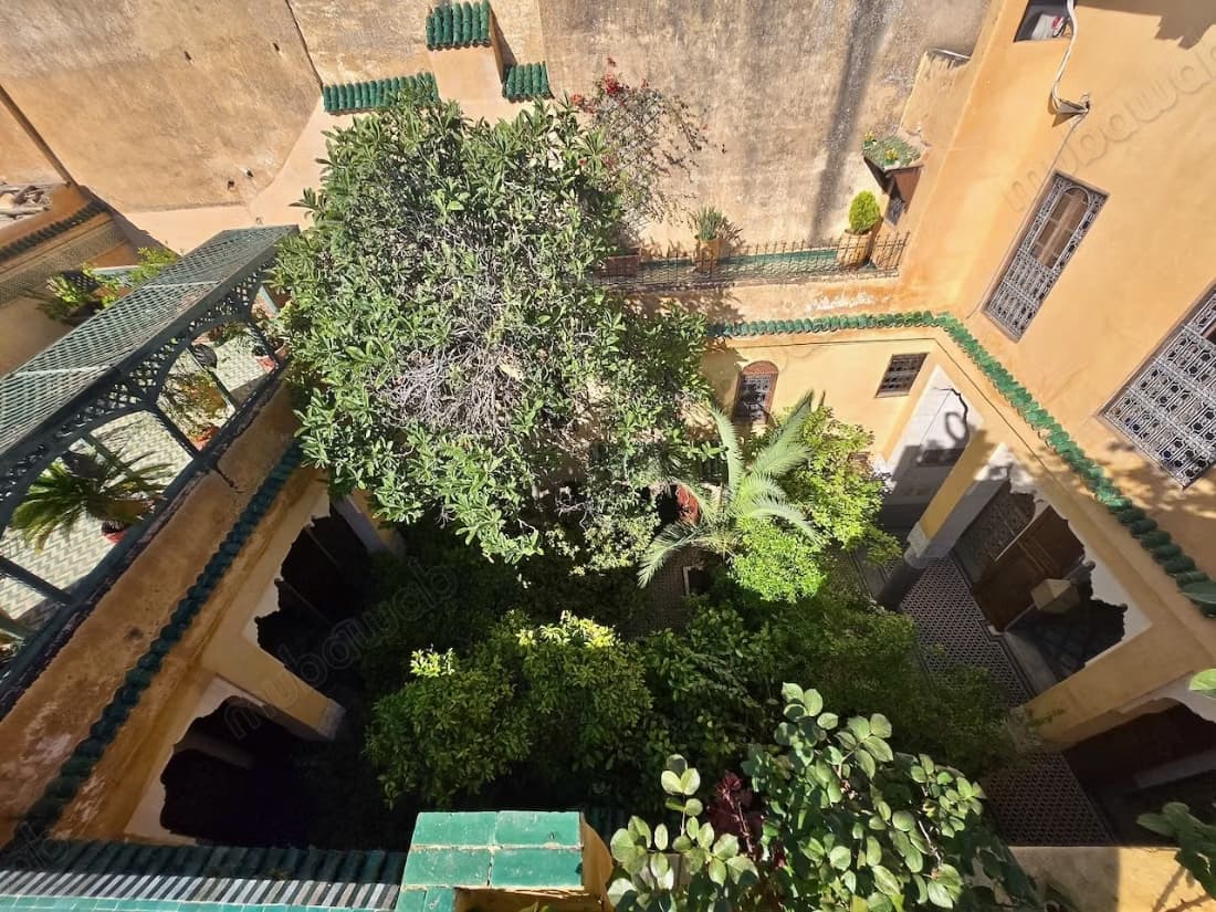 Riad de charme avec grand patio jardiné
