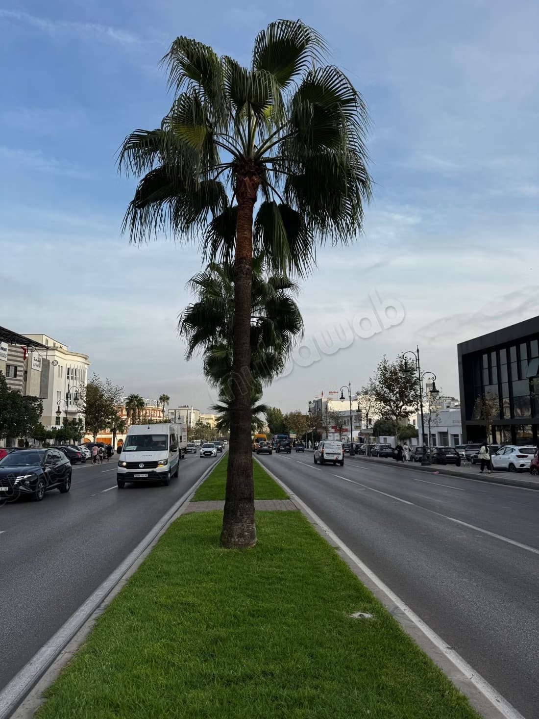 1000m sur la rue de tetouan et double acces