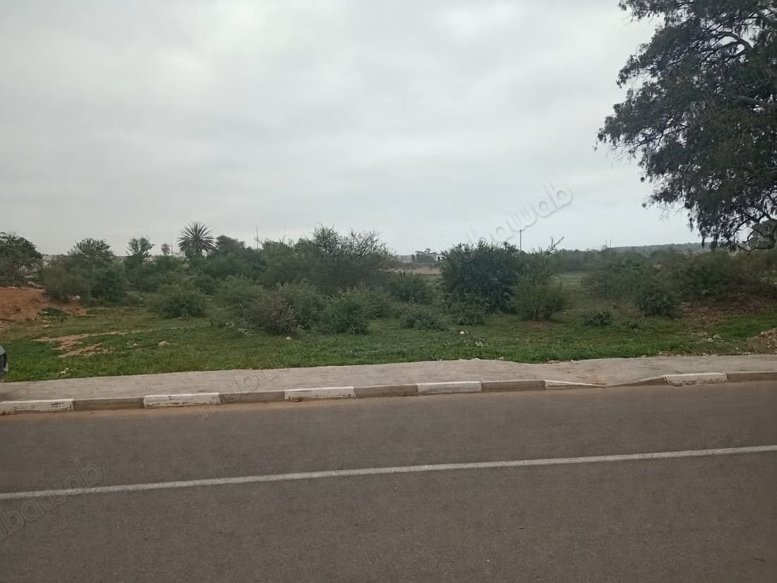 Terrain titré bon emplacement