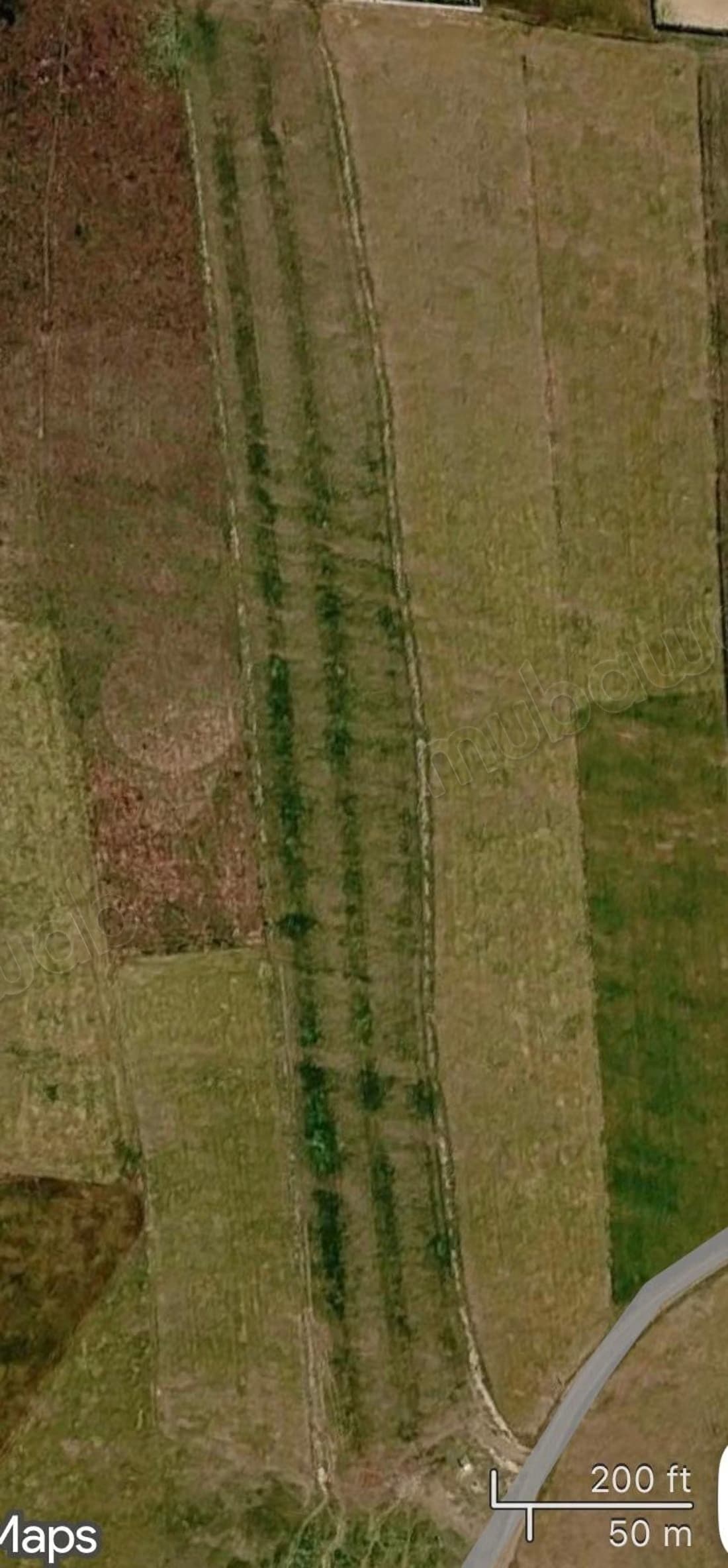 Terrain agricole titré 2 ha 30 a – Ouled Saleh, Nouaceur