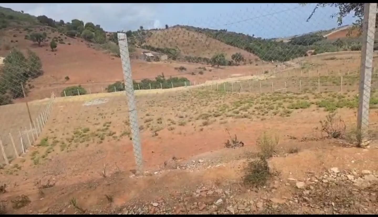 À vendre: terrain de 3 081 m² avec clôture
