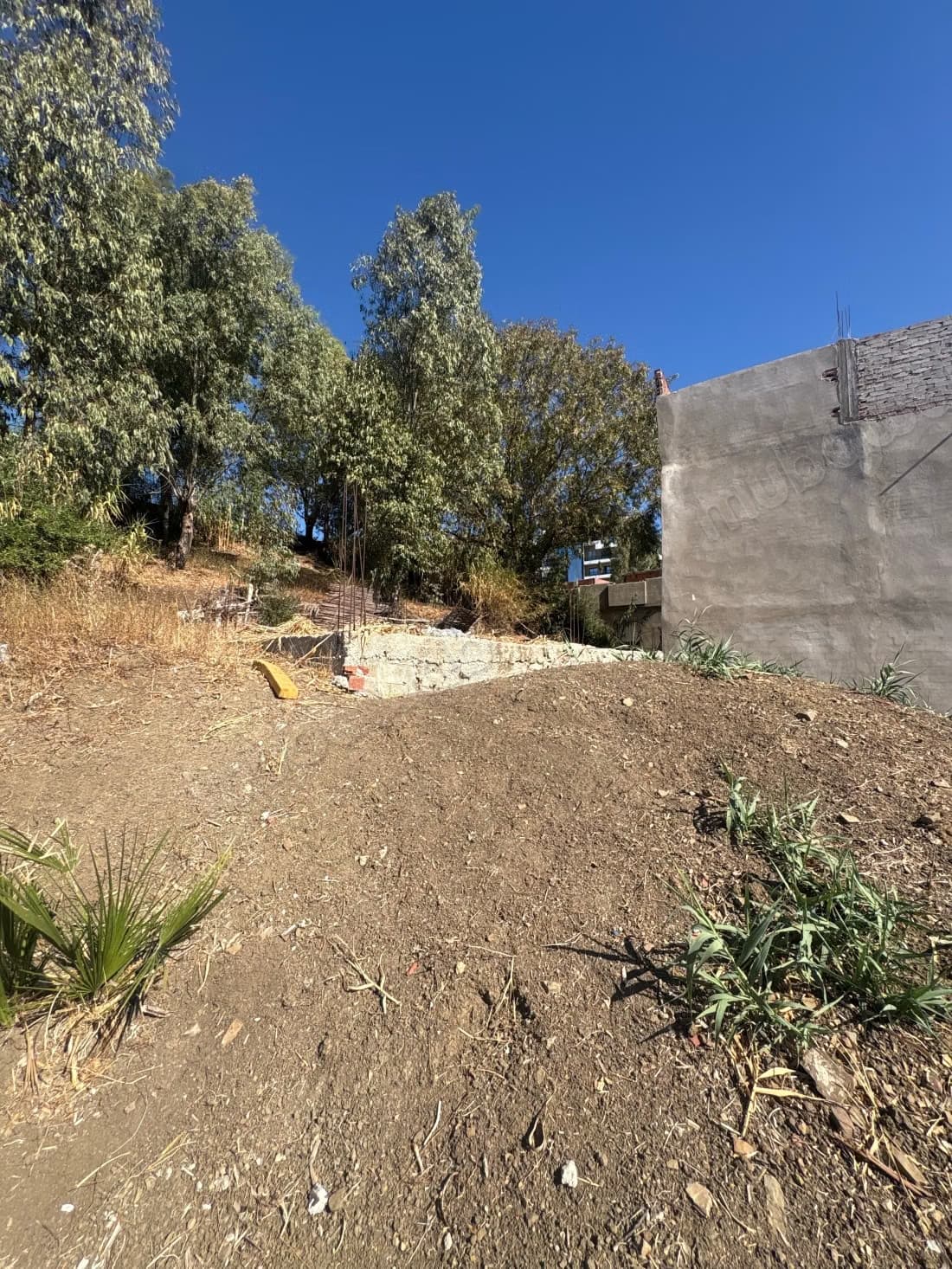 Terrain à vendre à El Oued. Surface de 78 m²
