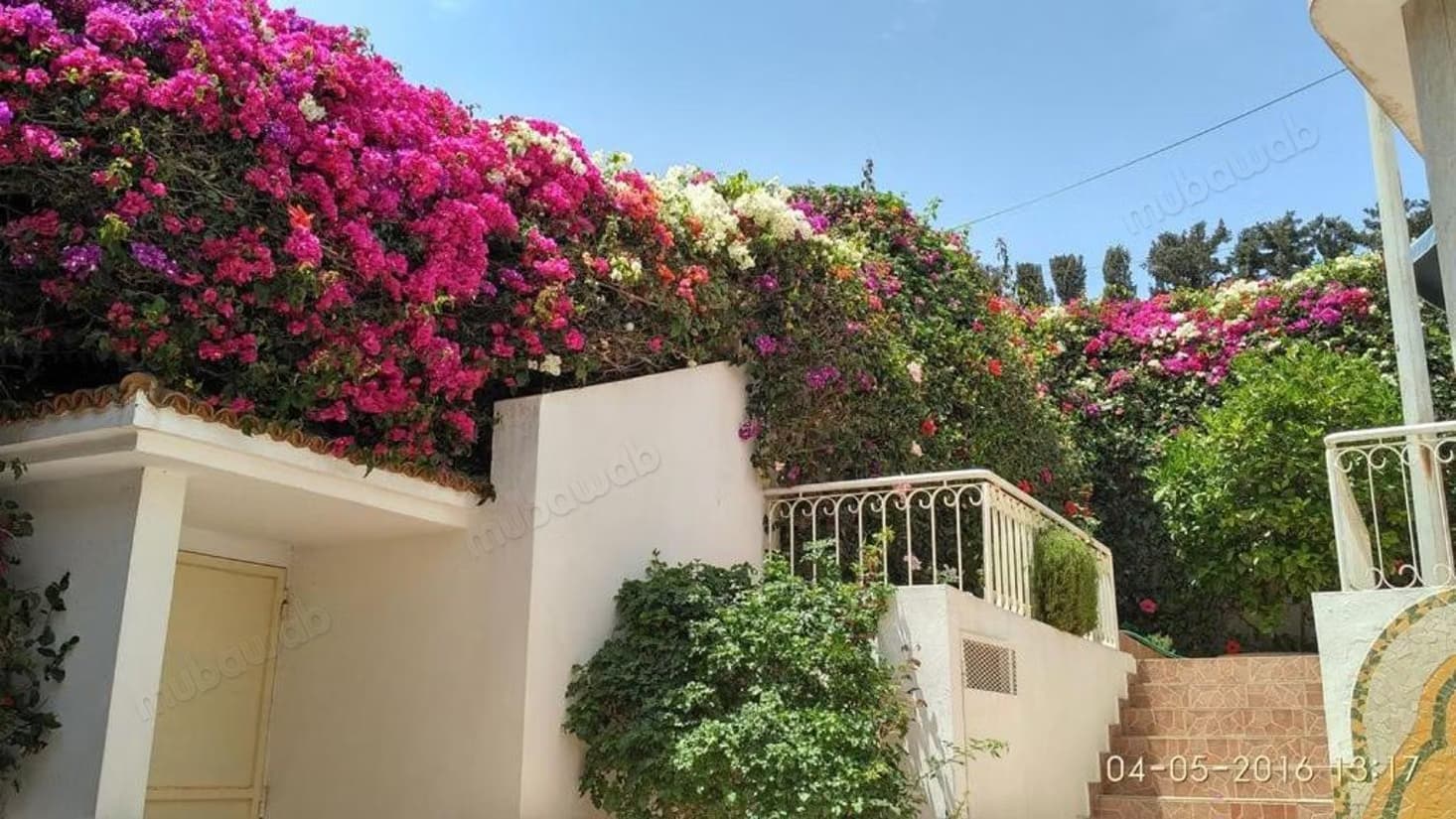Belle maison a charaf