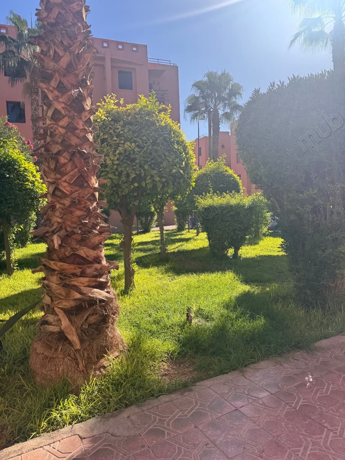 Très bel appartement en location à Route de Fez. 2 belles ch...