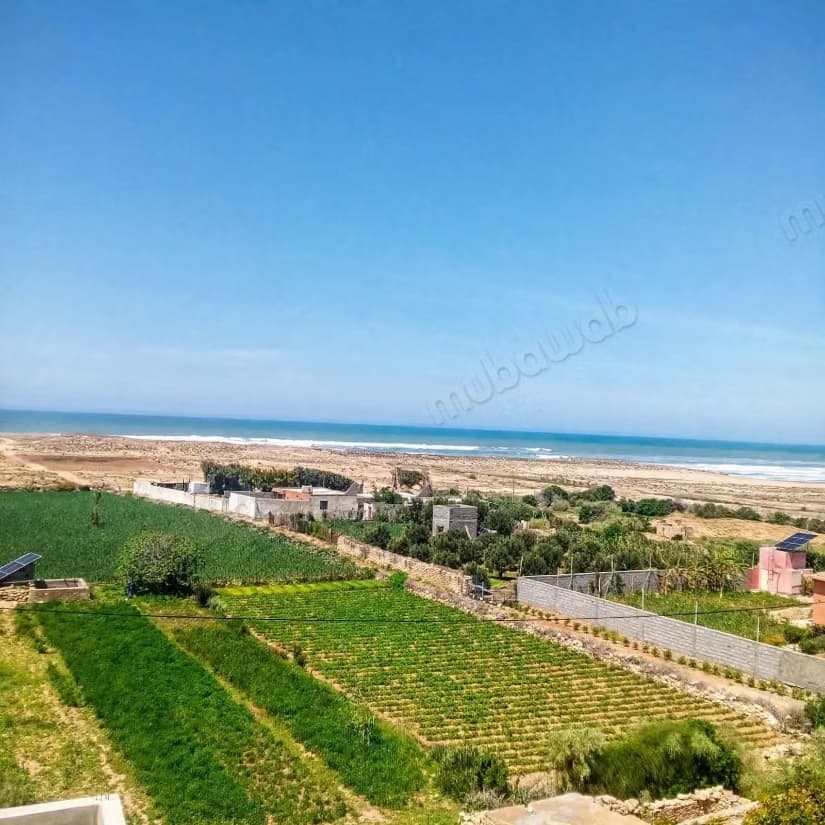 Vente terrain à Sidi Kaouki. Superficie 14000 m²