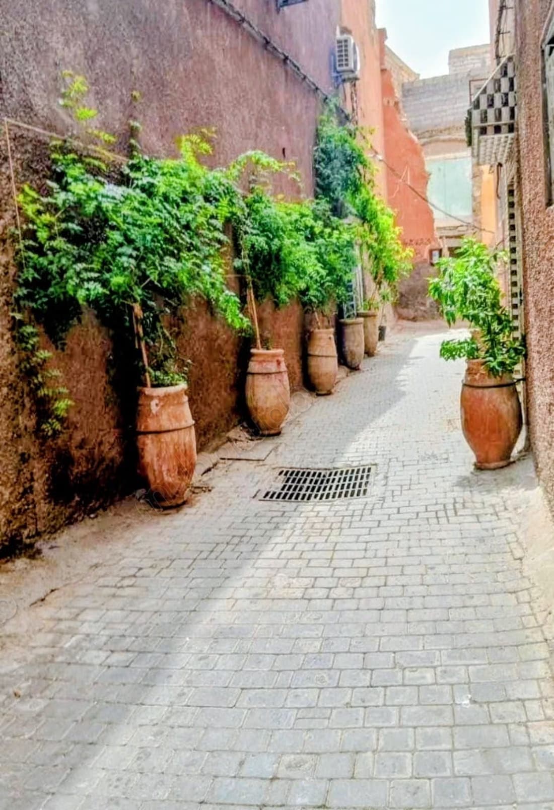 Riad titré à renover 84m2
