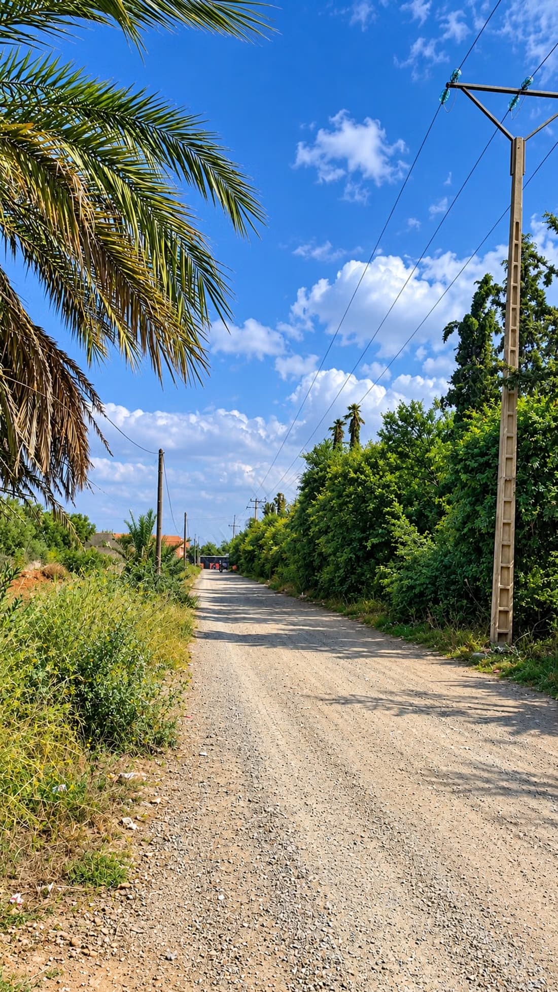 Terrain de 600 mètres sur la route d'Ourika