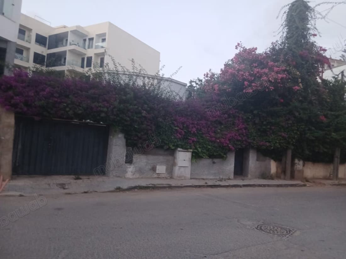 Terrain en vente à Palmier. Superficie 360 m²