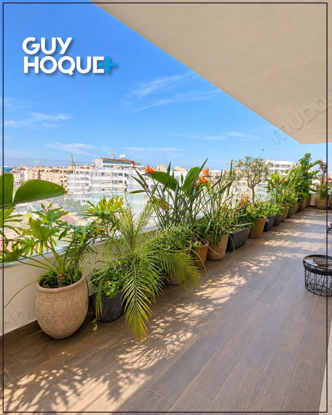 Appartement avec grande terrasse à louer