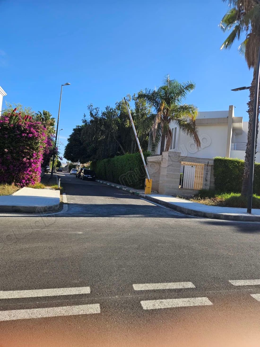 Terrain en vente à Hay ez zaitoune. Superficie 282 m²