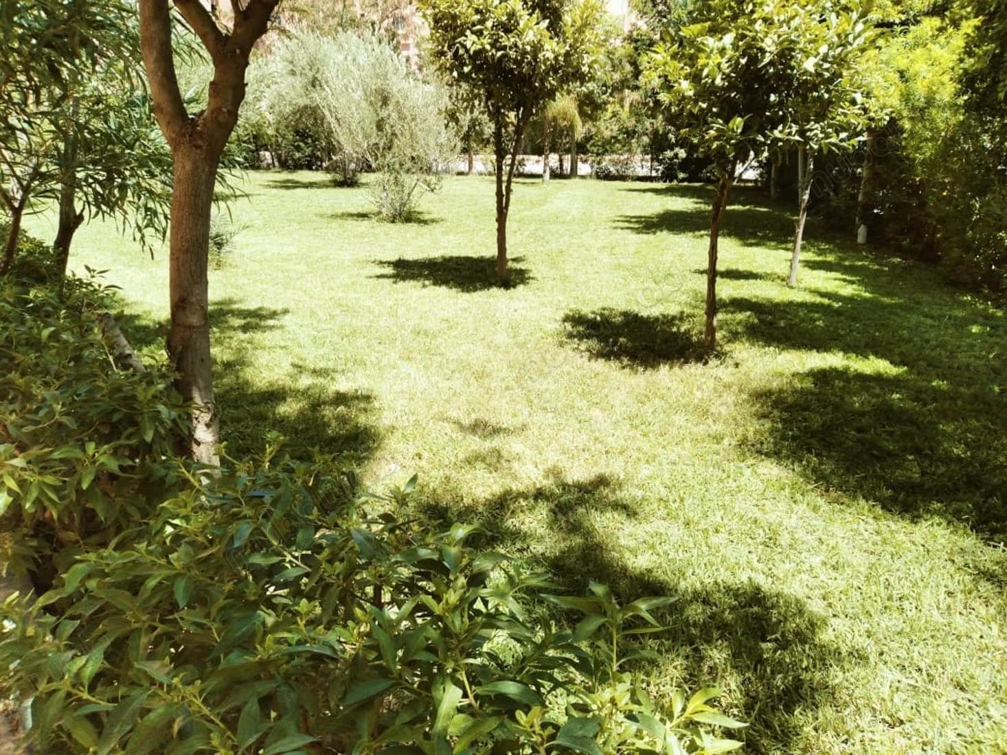 Appartement tamnsourt dar rizk