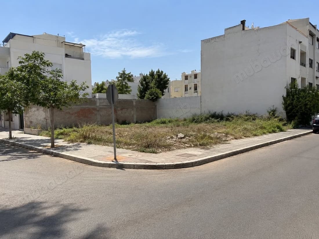 Terrain à vendre – belvédère 280 m²