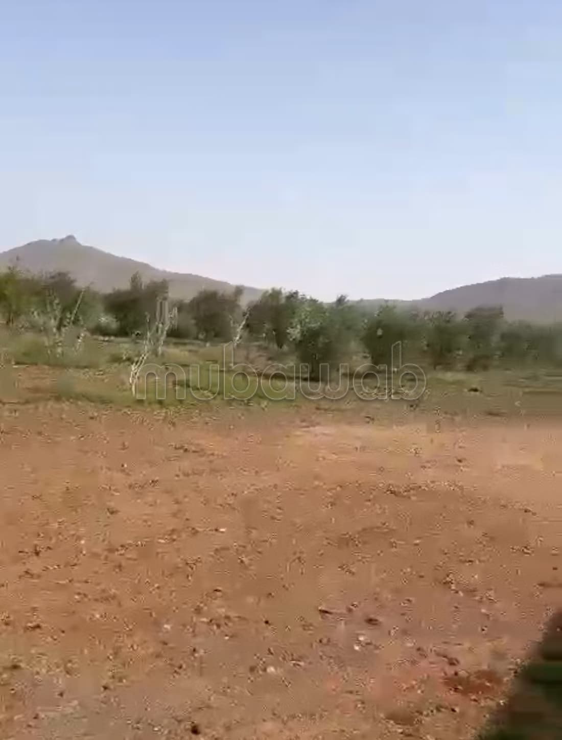 Ferme Titrée 2 Hectares 2500 m² Marrakech Borrous