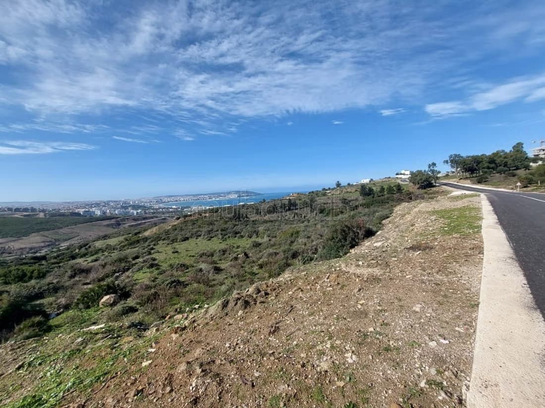 Vente Terrain Zone Villa 4 Ha à Nouinouiche