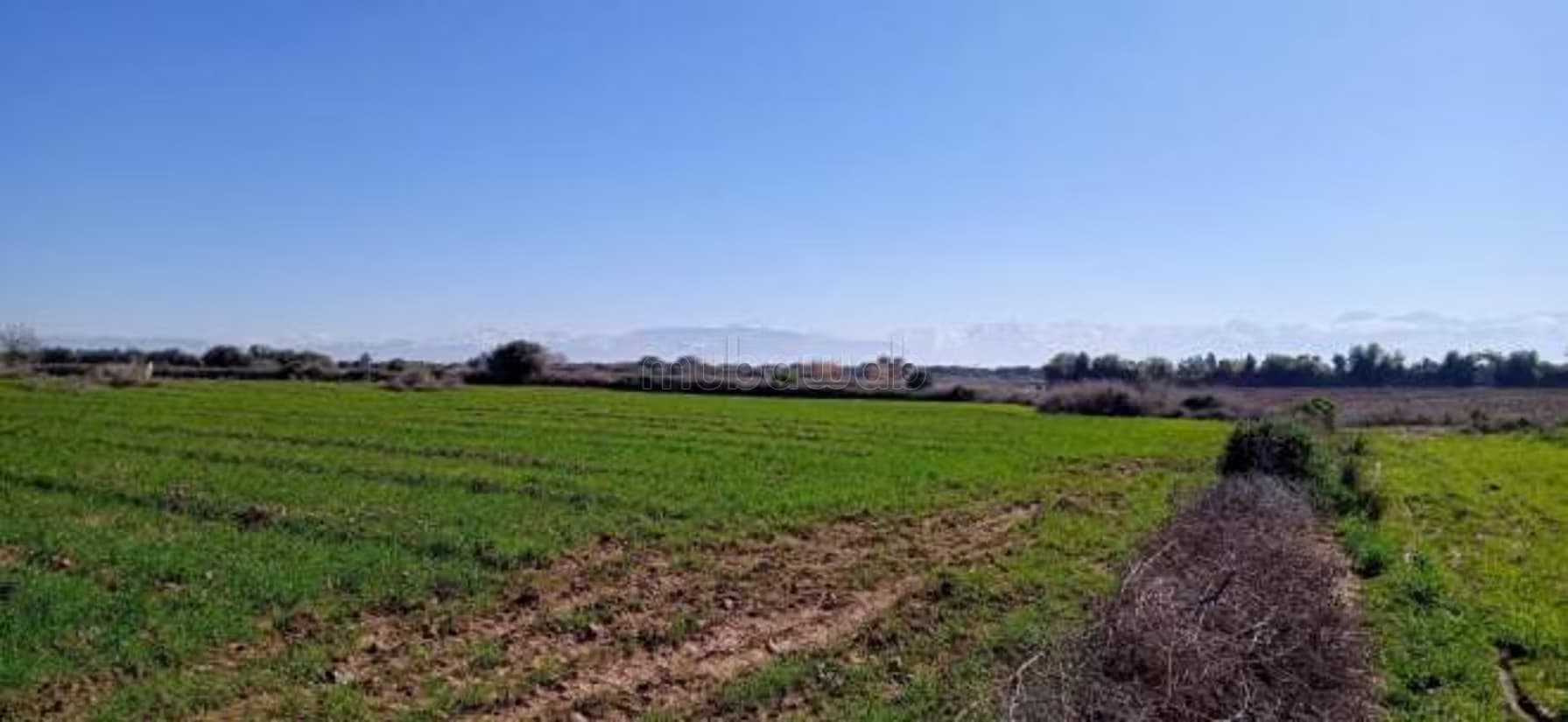 Terrain sur la Route Ourika